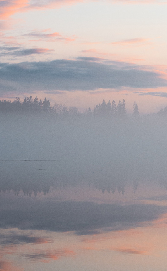 Fresh Nordic simplicity at Azets 